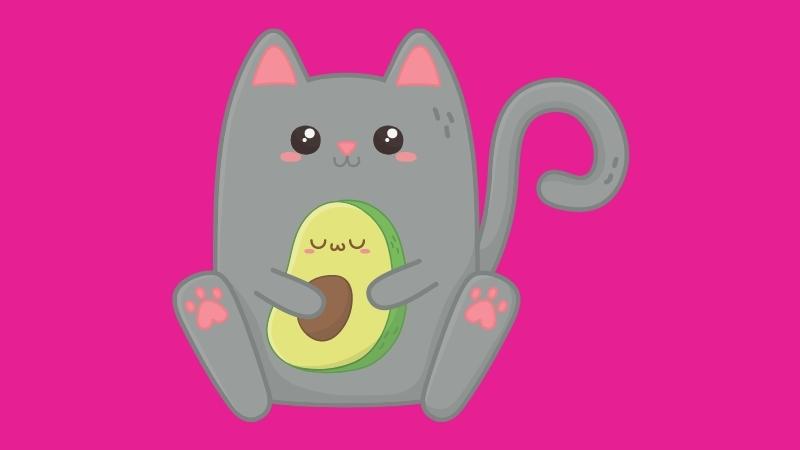 Dürfen Katzen Avocado essen - cute cat holding avocado