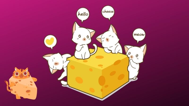 Dürfen Katzen Käse essen - Katzen um ein großes Stück Schweizer Käse