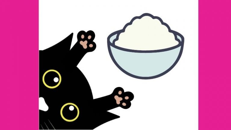 Dürfen Katzen Reis essen - glückliche Katze, die versucht, eine Schüssel Reis zu ergattern
