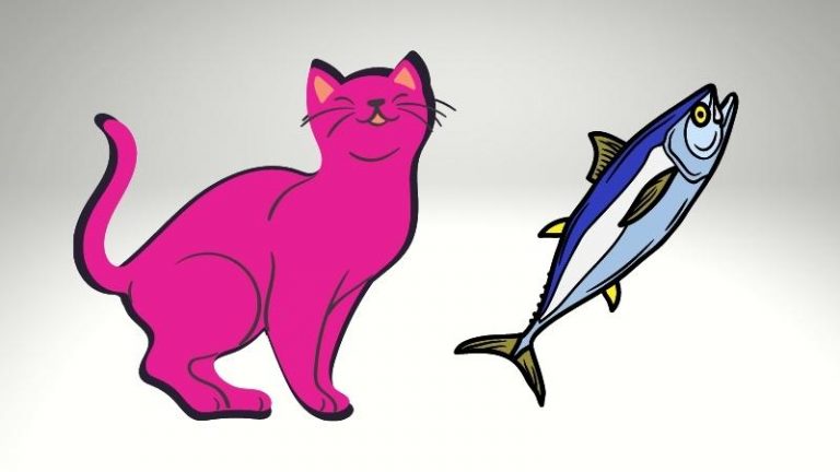 Dürfen Katzen Thunfisch essen - Miniaturbild einer Katze und eines Thunfischs