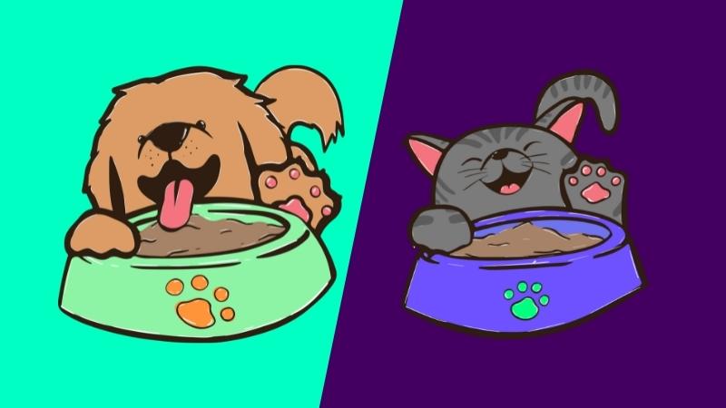 dürfen katzen hundefutter essen - Katze frisst Hundefutter neben Hund, der Katzenfutter frisst (lel)